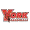 York College (NY) Logo