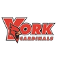 York College (NY) Logo
