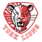 York University Logo
