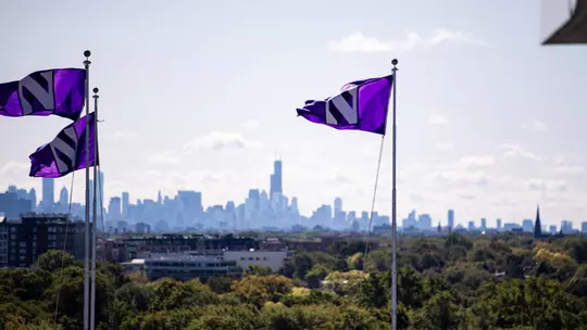 Northwestern Flags Chicago Skyline
