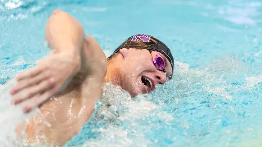 ‘Cats Head to Texas, Ohio State Invites Image