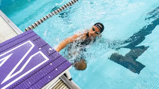 ‘Cats Head to Notre Dame, Michigan Image