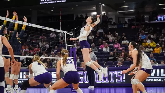 Campbell vs Michigan