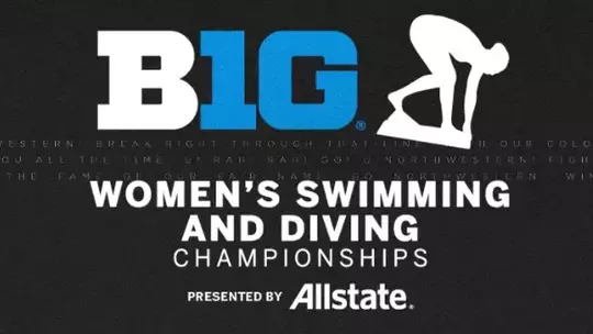 WS&D B1Gs Graphic Header