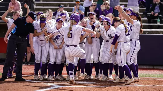 bridget donahey homer at illinois