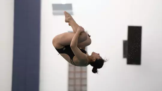 Womens Diving
