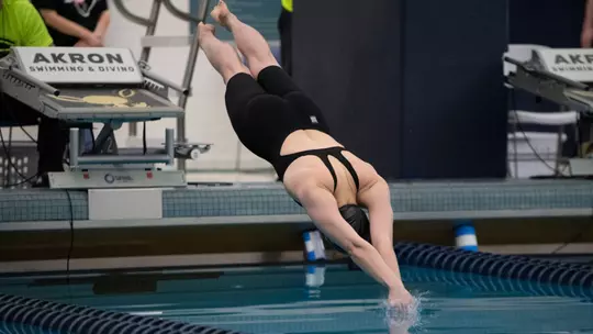 Swim and Dive