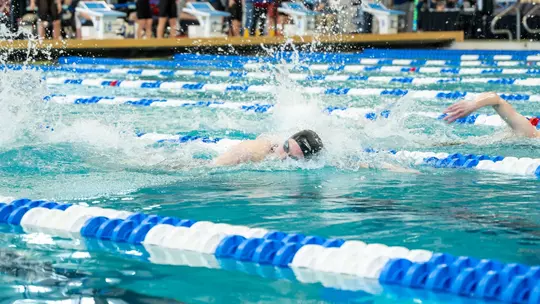 Swim and Dive