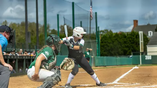 Hailey Massaro Batting