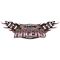 University of Northwestern Ohio Logo