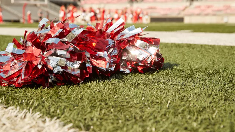 Cheer Team Adds Eight for 2021-22