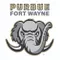 Purdue Fort Wayne 2