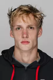 Viktor Kulcsar