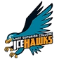 Lake Superior College Logo