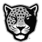 Texas A&M University-San Antonio Logo