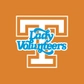 Tennessee Lady Vols logo