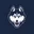 UConn Logo