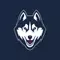 UConn logo
