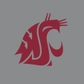 Washington State logo