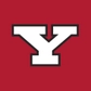Youngstown State logo
