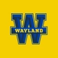 Wayland Baptist logo