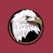 Bridgewater logo