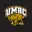 UMBC Logo