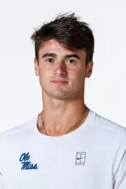 Baroni, Niccolo