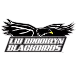 LIU Brooklyn