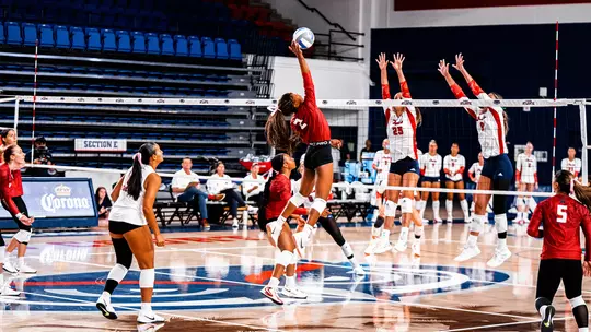 CG vs FAU