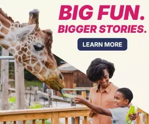 Valley Forge Banner Ad