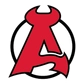 Albany Devils Logo
