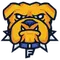 Fisk University Logo