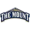 Mount St. Mary's (Md.) Logo