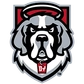 D'Youville University Logo