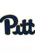 Pittsburgh Panthers