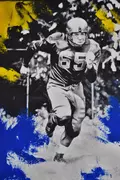 Joe Schmidt