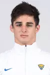 Dallas Bulsak
