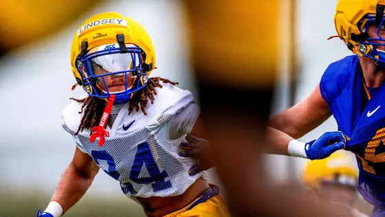 FB Training Camp - Cam Lindsey