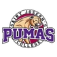 Saint Joseph's College (Ind.) Logo