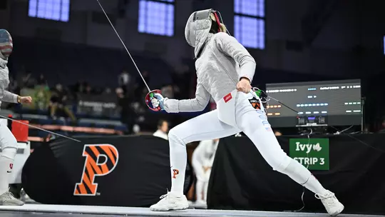 fencing action