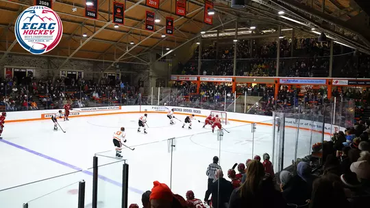 Mens Hockey ECAC Quarterfinal Rink Ad