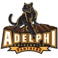 Adelphi University Logo