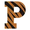 Princeton University
