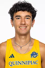 Alessandro Alvarez-Tullo