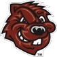 CCNY Logo Athletics