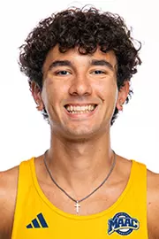 Alessandro Alvarez-Tullo