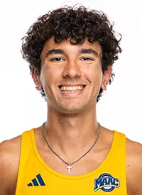 Alessandro Alvarez-Tullo