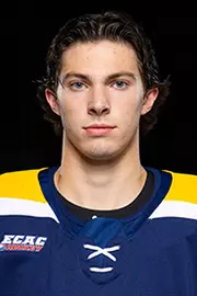 Matthew Lansing