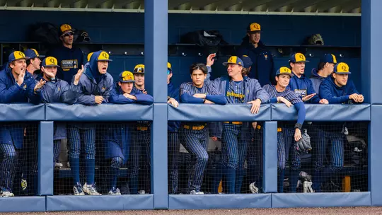 Baseball Dugout Picture Against Fairfield (May 3, 2026 in Hamden, Conn.)